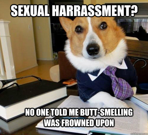 Sexual Harrassment? No one told me butt-smelling was frowned upon  Lawyer Dog