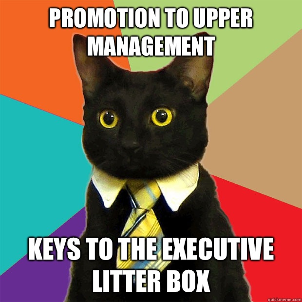 Promotion to upper management Keys to the executive litter box  Business Cat