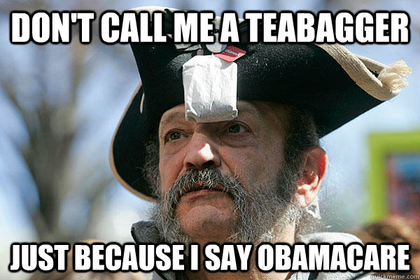 Don't call me a Teabagger Just because I say Obamacare  Tea Party Ted