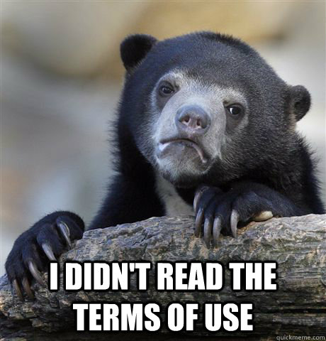  I didn't read the terms of use  Confession Bear