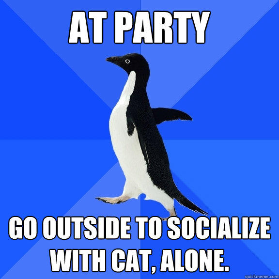 at party go outside to socialize with cat, alone.  