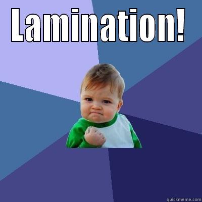 Lamination!  - LAMINATION!  Success Kid