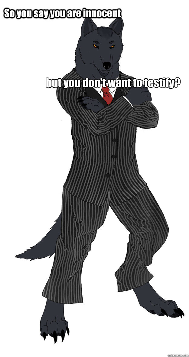 So you say you are innocent but you don't want to testify? - So you say you are innocent but you don't want to testify?  Justice Wolf