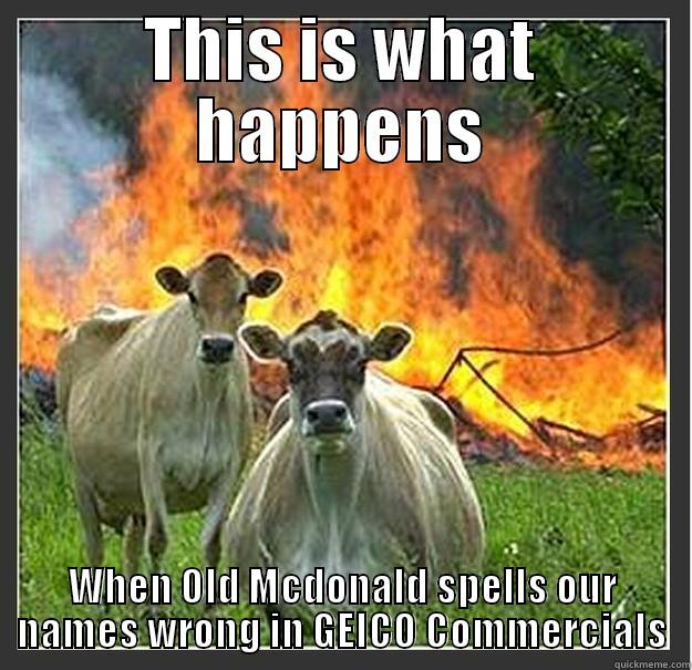 Angry COWS - THIS IS WHAT HAPPENS WHEN OLD MCDONALD SPELLS OUR NAMES WRONG IN GEICO COMMERCIALS Evil cows