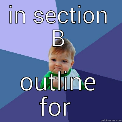 IN SECTION B OUTLINE FOR EVERYTHING Success Kid