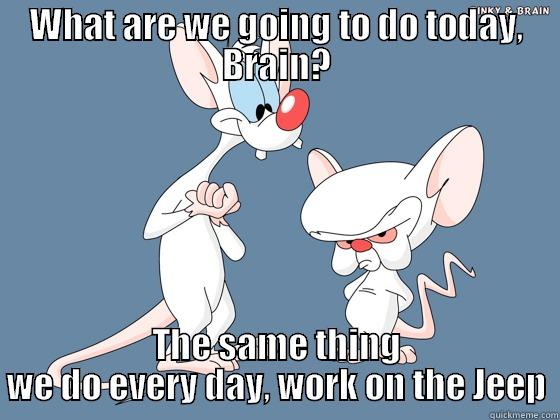 It's Never Ending - WHAT ARE WE GOING TO DO TODAY, BRAIN? THE SAME THING WE DO EVERY DAY, WORK ON THE JEEP Misc