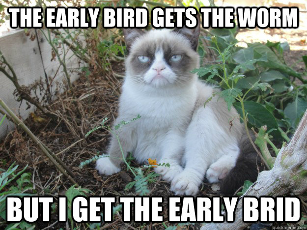 The early bird gets the worm but i get the early brid - The early bird gets the worm but i get the early brid  Misc