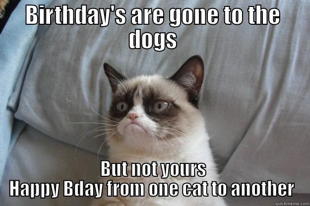 BIRTHDAY'S ARE GONE TO THE DOGS BUT NOT YOURS HAPPY BDAY FROM ONE CAT TO ANOTHER  Grumpy Cat