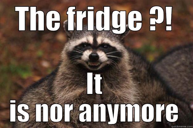 missing thing - THE FRIDGE ?! IT IS NOR ANYMORE Evil Plotting Raccoon