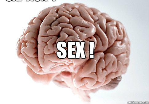  SEX !  Caption 4 goes here  Scumbag Brain