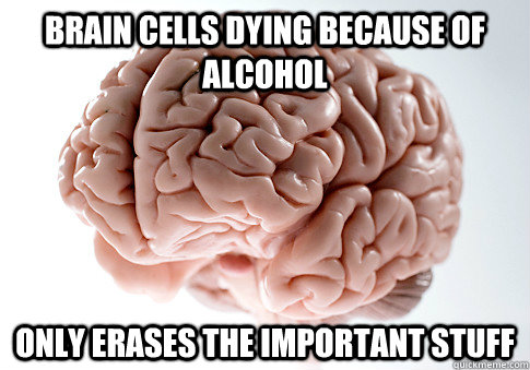 brain cells dying because of alcohol only erases the important stuff  Scumbag Brain