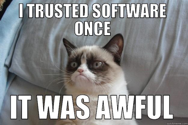 I TRUSTED SOFTWARE ONCE IT WAS AWFUL Grumpy Cat