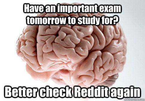 Have an important exam tomorrow to study for? Better check Reddit again - Have an important exam tomorrow to study for? Better check Reddit again  Scumbag Brain