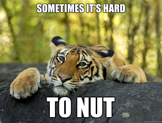 Sometimes it's hard to nut  Confession Tiger