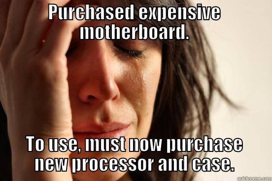 PURCHASED EXPENSIVE MOTHERBOARD. TO USE, MUST NOW PURCHASE NEW PROCESSOR AND CASE. First World Problems