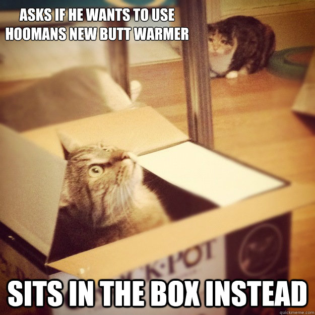 asks if he wants to use hoomans new butt warmer sits in the box instead  Cats wife