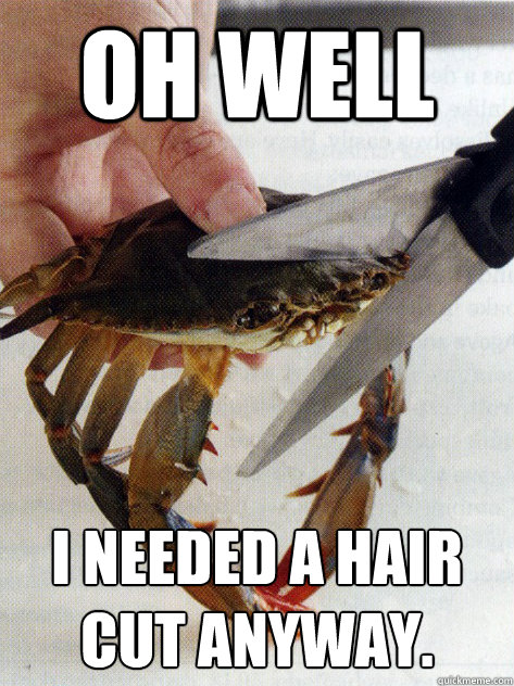 oh well i needed a hair cut anyway. - oh well i needed a hair cut anyway.  Optimistic Crab