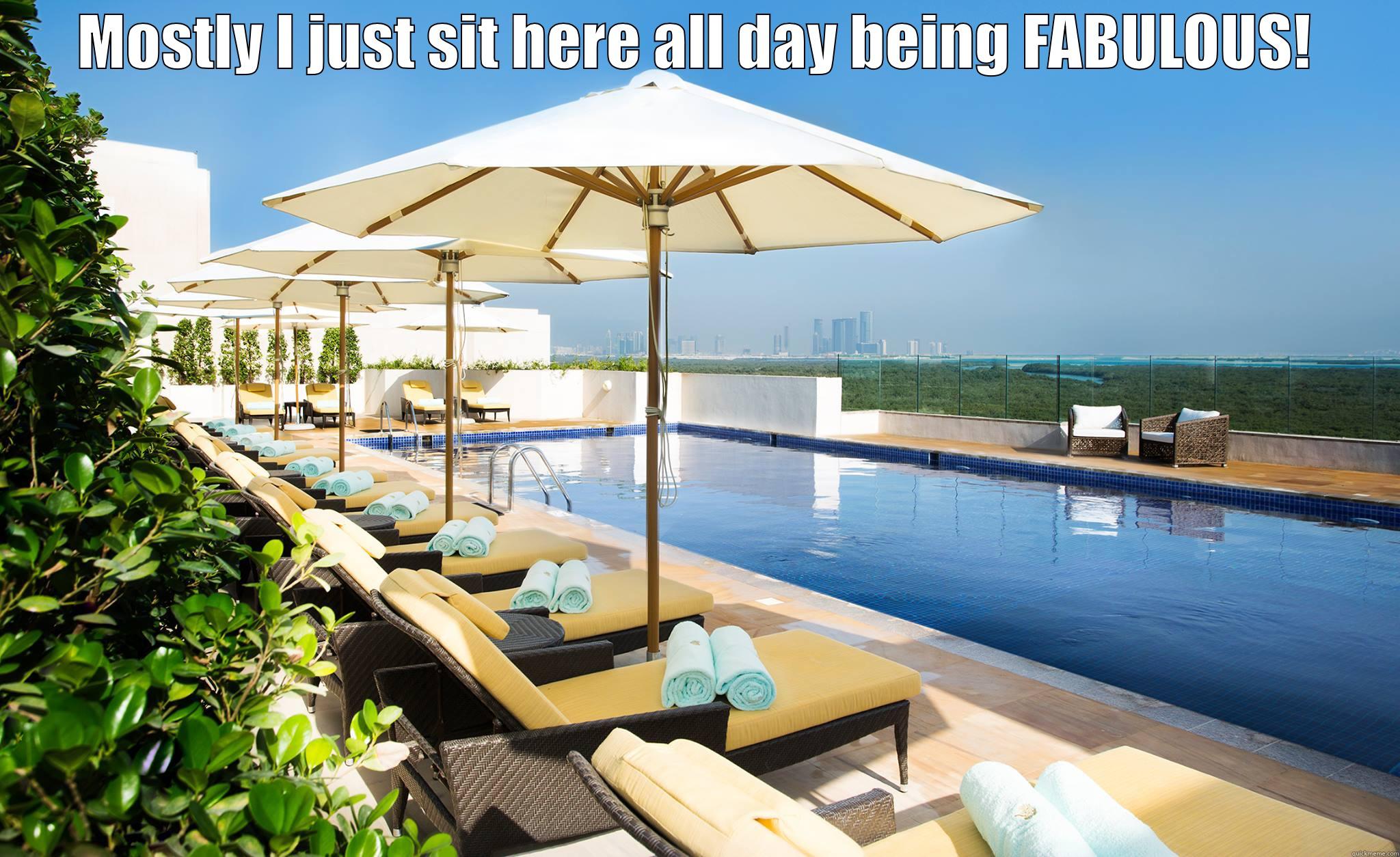 MOSTLY I JUST SIT HERE ALL DAY BEING FABULOUS!  Misc