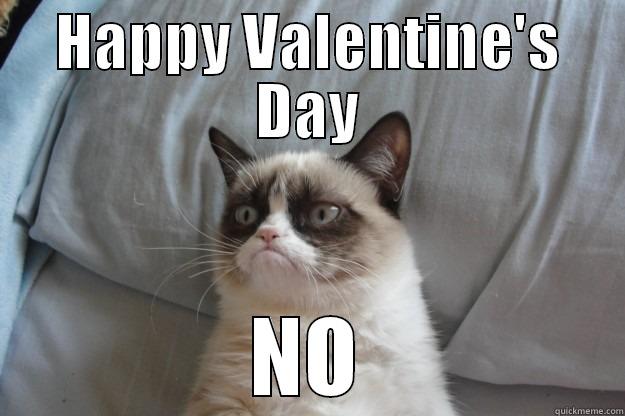 HAPPY VALENTINE'S DAY NO Grumpy Cat