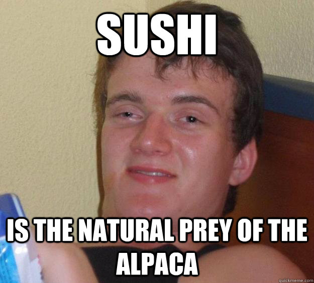 sushi is the natural prey of the alpaca - sushi is the natural prey of the alpaca  10 Guy