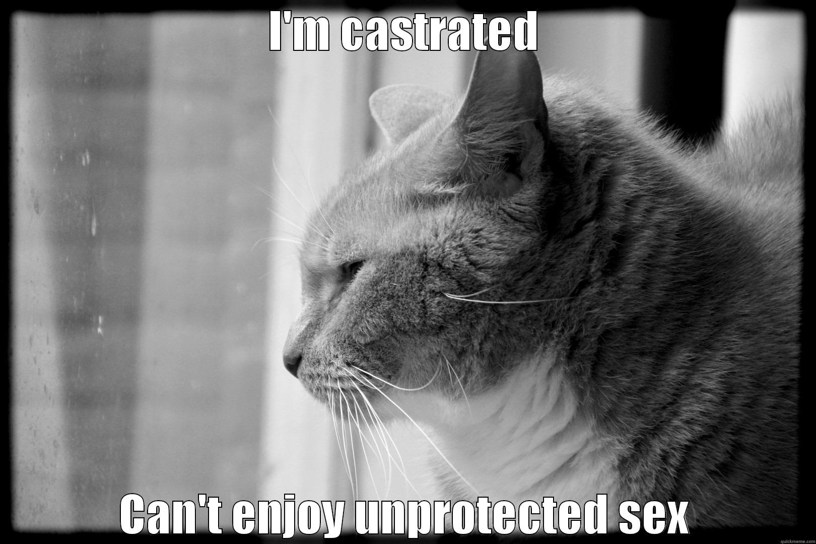 I'M CASTRATED CAN'T ENJOY UNPROTECTED SEX Misc