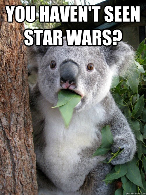 You haven't seen star wars? - You haven't seen star wars?  koala bear