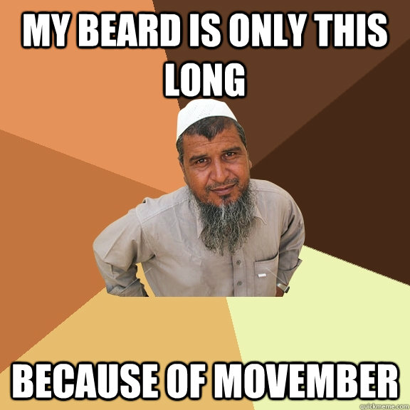 My beard is only this long because of movember - My beard is only this long because of movember  Ordinary Muslim Man