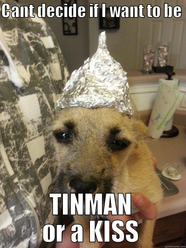 Pebbles Gets Ready For Invaiders - CANT DECIDE IF I WANT TO BE  TINMAN OR A KISS Misc