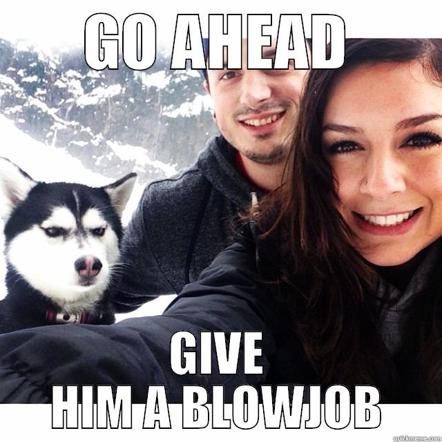 GO AHEAD GIVE HIM A BLOWJOB Misc