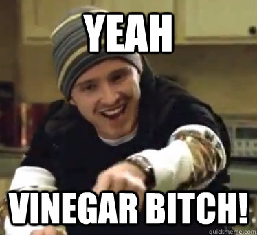 Yeah vinegar Bitch! - Yeah vinegar Bitch!  Yeah Science!