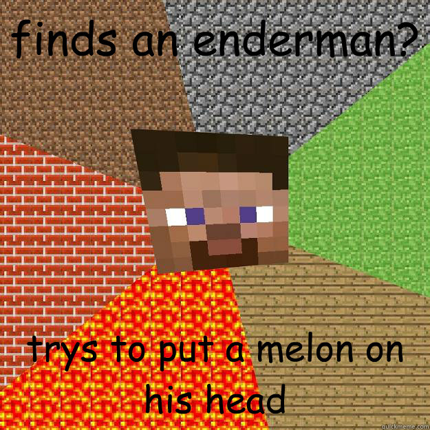 finds an enderman? trys to put a melon on his head  Minecraft