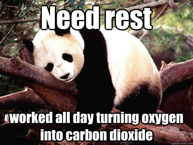 Need rest worked all day turning oxygen into carbon dioxide  Procrastination Panda