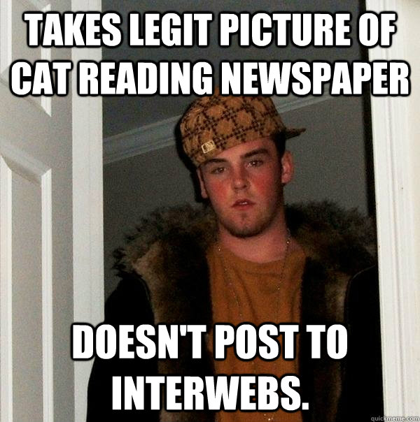 Takes legit picture of cat reading newspaper doesn't post to interwebs. - Takes legit picture of cat reading newspaper doesn't post to interwebs.  Scumbag Steve