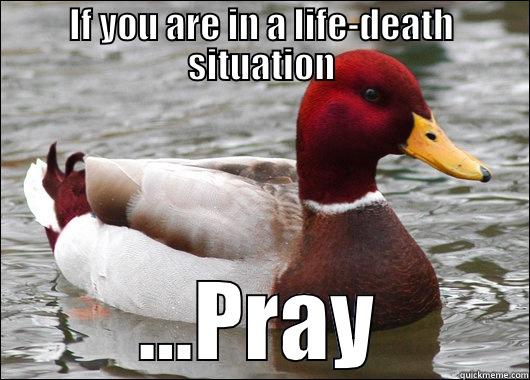 IF YOU ARE IN A LIFE-DEATH SITUATION ...PRAY Malicious Advice Mallard