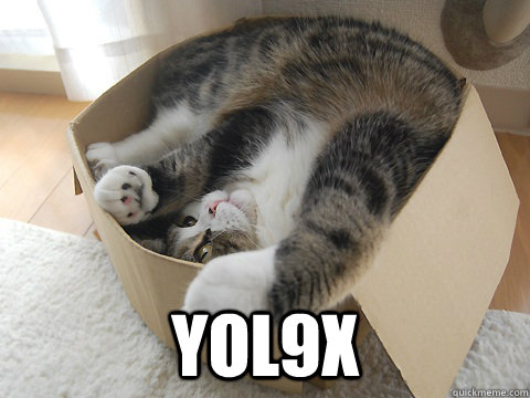  Yol9x  Drakes cat