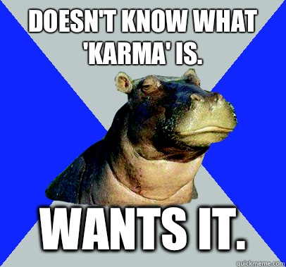 Doesn't know what 'Karma' is. Wants it.   Skeptical Hippo