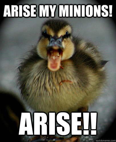 ARISE MY MINIONS! ARISE!! - ARISE MY MINIONS! ARISE!!  DUCKLINGS