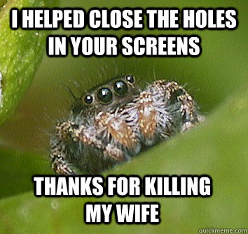 i helped close the holes in your screens thanks for killing my wife  Misunderstood Spider