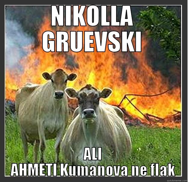 NIKOLLA GRUEVSKI ALI AHMETI KUMANOVA NE FLAK Evil cows