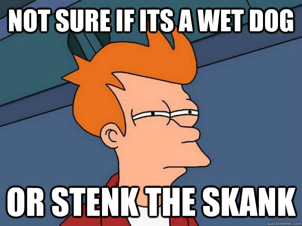 Not sure if its a wet dog Or Stenk the Skank  Futurama Fry