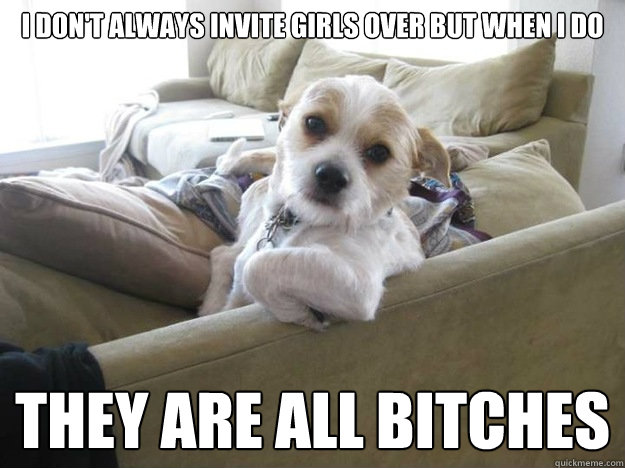 I don't always invite girls over but when I do They are all bitches - I don't always invite girls over but when I do They are all bitches  The Most Interesting Dog in the World