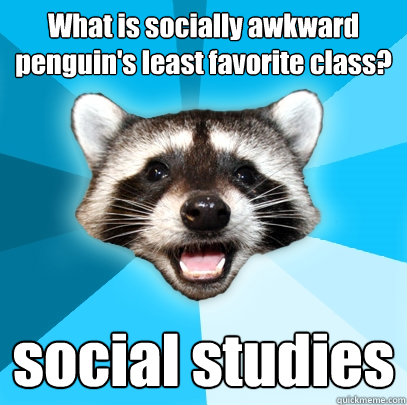 What is socially awkward penguin's least favorite class? social studies  Lame Pun Coon