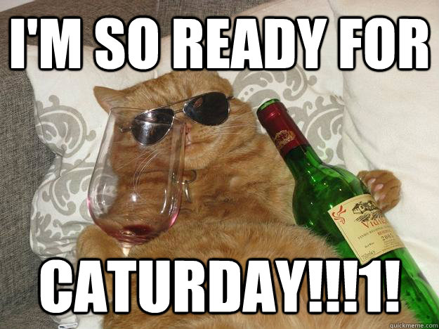 i'm so ready for caturday!!!1! - i'm so ready for caturday!!!1!  Party Cat