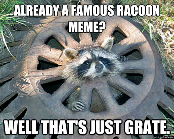 ALREADY A FAMOUS RACOON MEME? WELL THAT'S JUST GRATE. - ALREADY A FAMOUS RACOON MEME? WELL THAT'S JUST GRATE.  Thats Just Grate Racoon