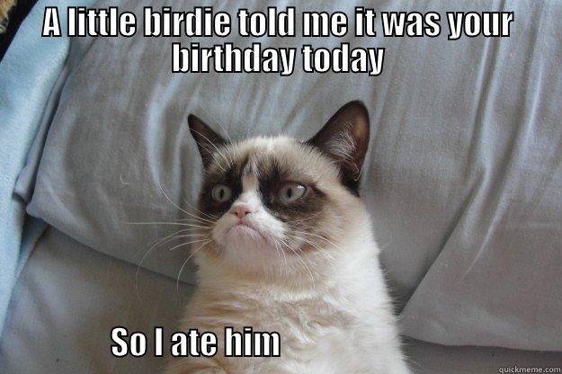 Birthday grumpy cat - A LITTLE BIRDIE TOLD ME IT WAS YOUR BIRTHDAY TODAY                                   SO I ATE HIM                                            Grumpy Cat