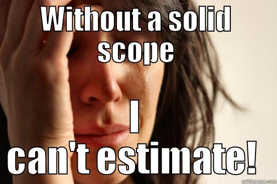 WITHOUT A SOLID SCOPE I CAN'T ESTIMATE!  First World Problems