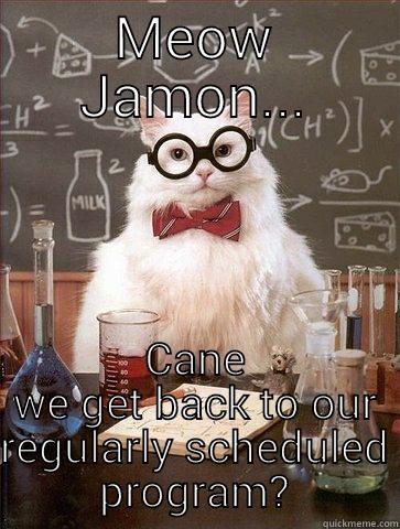 MEOW JAMON... CANE WE GET BACK TO OUR REGULARLY SCHEDULED PROGRAM? Chemistry Cat