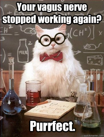 Your vagus nerve stopped working again? Purrfect.  Chemistry Cat