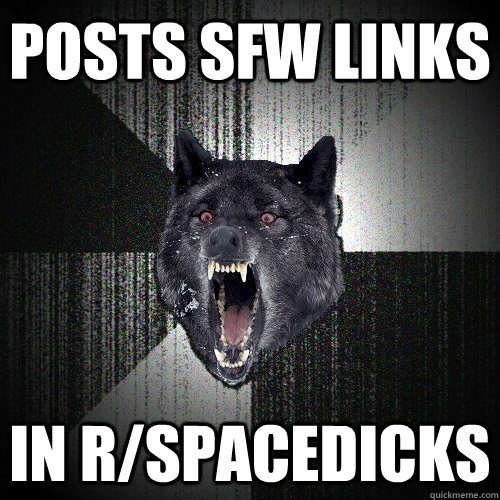 Posts sfw links in r/spacedicks  Insanity Wolf