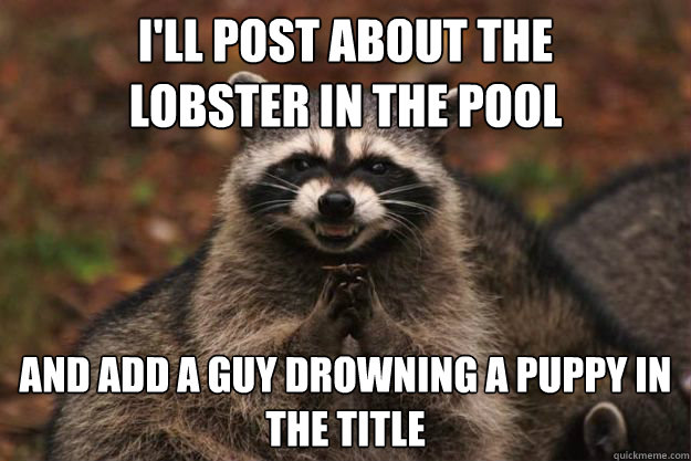 I'll Post about the 
lobster in the pool And add a guy drowning a puppy in the title - I'll Post about the 
lobster in the pool And add a guy drowning a puppy in the title  Evil genius racoon